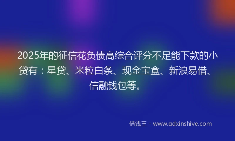 2025年的征信花负债高综合评分不足能下款的小贷有：星贷、米粒白条、现金宝盒、新浪易借、信融钱包等。