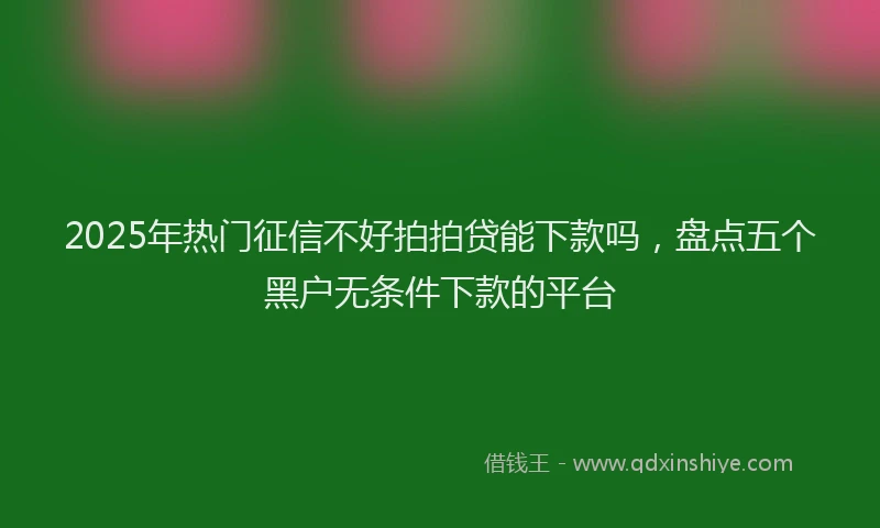 2025年热门征信不好拍拍贷能下款吗，盘点五个黑户无条件下款的平台