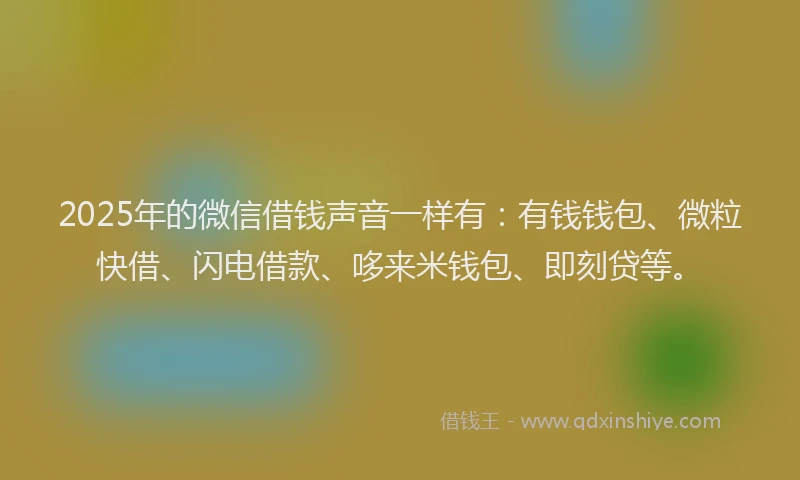 2025年的微信借钱声音一样有：有钱钱包、微粒快借、闪电借款、哆来米钱包、即刻贷等。