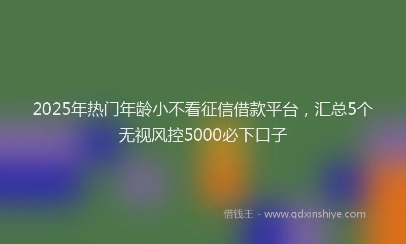 2025年热门年龄小不看征信借款平台，汇总5个无视风控5000必下口子