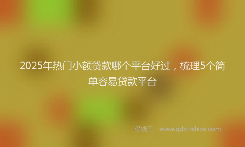 2025年热门小额贷款哪个平台好过，梳理5个简单容易贷款平台