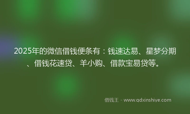 2025年的微信借钱便条有：钱速达易、星梦分期、借钱花速贷、羊小购、借款宝易贷等。