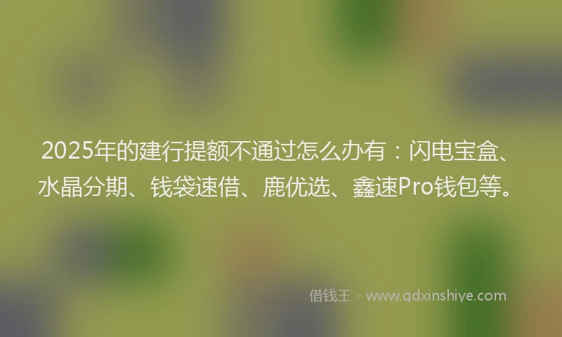 2025年的建行提额不通过怎么办有：闪电宝盒、水晶分期、钱袋速借、鹿优选、鑫速Pro钱包等。