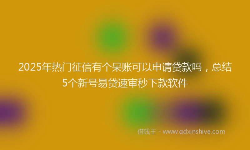 2025年热门征信有个呆账可以申请贷款吗，总结5个新号易贷速审秒下款软件