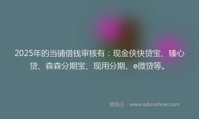 2025年的当铺借钱审核有：现金侠快贷宝、臻心贷、森森分期宝、现用分期、e微贷等。
