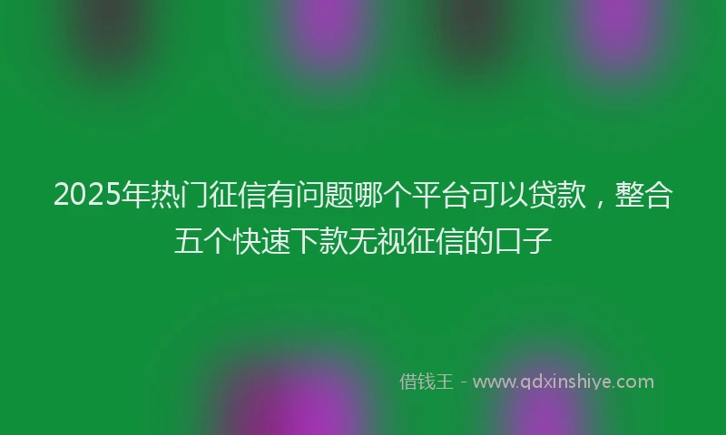 2025年热门征信有问题哪个平台可以贷款，整合五个快速下款无视征信的口子