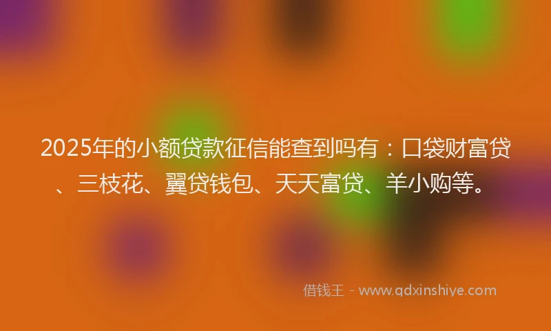 2025年的小额贷款征信能查到吗有：口袋财富贷、三枝花、翼贷钱包、天天富贷、羊小购等。