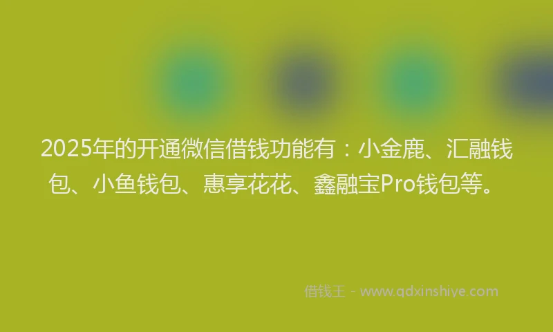 2025年的开通微信借钱功能有：小金鹿、汇融钱包、小鱼钱包、惠享花花、鑫融宝Pro钱包等。