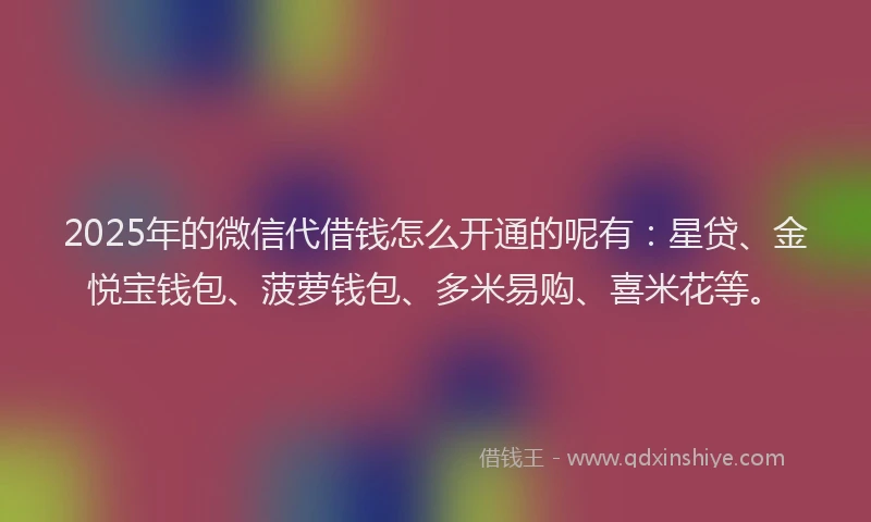 2025年的微信代借钱怎么开通的呢有：星贷、金悦宝钱包、菠萝钱包、多米易购、喜米花等。