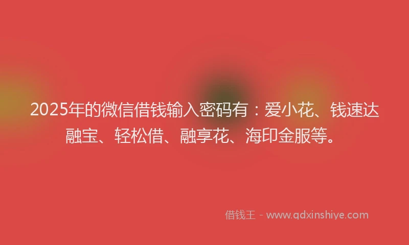 2025年的微信借钱输入密码有：爱小花、钱速达融宝、轻松借、融享花、海印金服等。