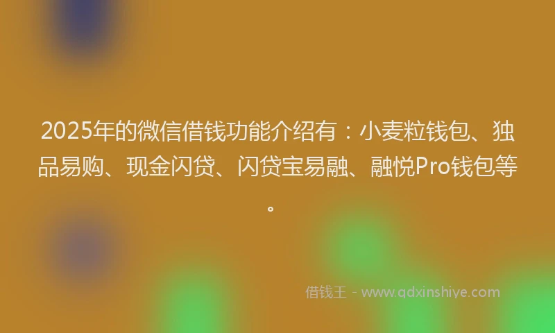 2025年的微信借钱功能介绍有:小麦粒钱包、独品易购、现金闪贷、闪贷宝易融、融悦Pro钱包等。