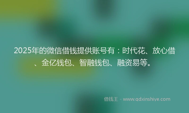 2025年的微信借钱提供账号有：时代花、放心借、金亿钱包、智融钱包、融资易等。