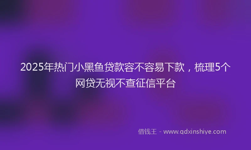 2025年热门小黑鱼贷款容不容易下款，梳理5个网贷无视不查征信平台
