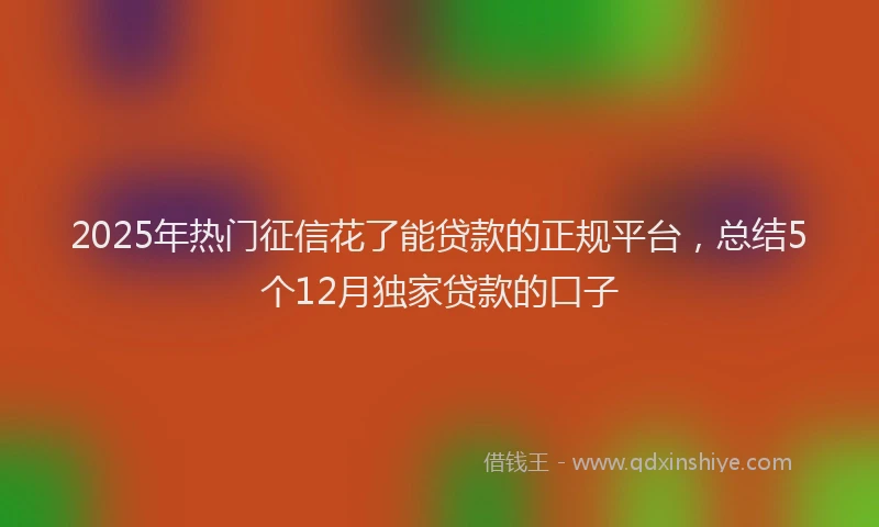 2025年热门征信花了能贷款的正规平台，总结5个12月独家贷款的口子