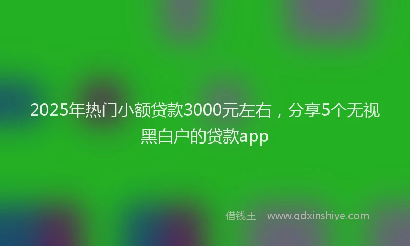 2025年热门小额贷款3000元左右，分享5个无视黑白户的贷款app