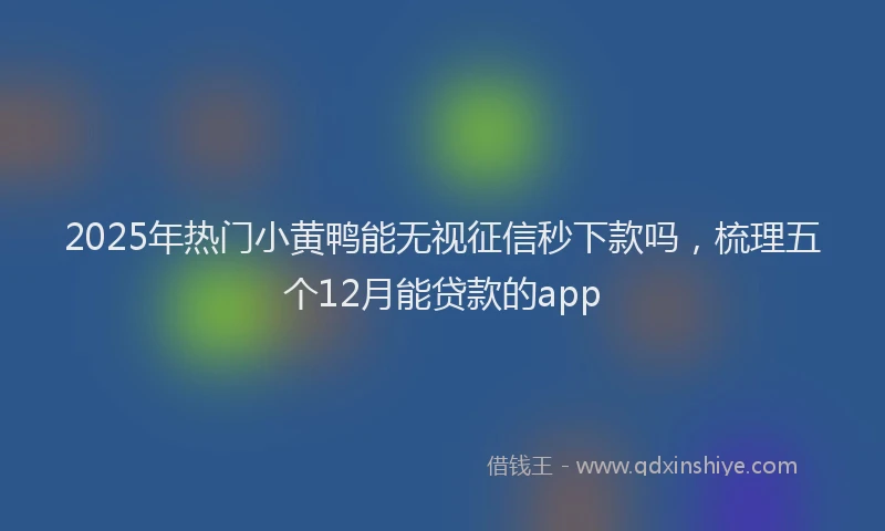 2025年热门小黄鸭能无视征信秒下款吗，梳理五个12月能贷款的app