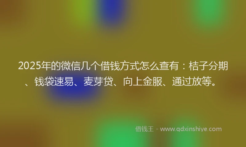 2025年的微信几个借钱方式怎么查有：桔子分期、钱袋速易、麦芽贷、向上金服、通过放等。