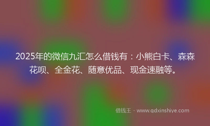 2025年的微信九汇怎么借钱有：小熊白卡、森森花呗、全金花、随意优品、现金速融等。