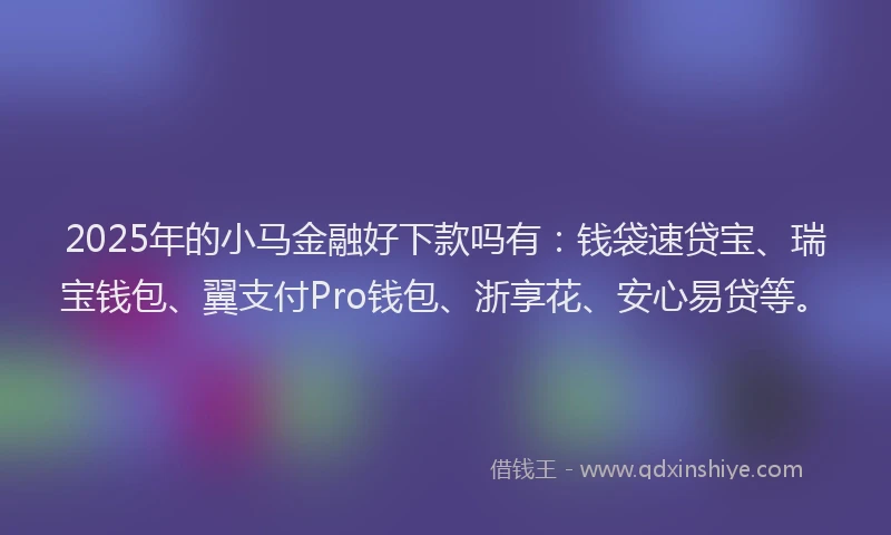 2025年的小马金融好下款吗有：钱袋速贷宝、瑞宝钱包、翼支付Pro钱包、浙享花、安心易贷等。