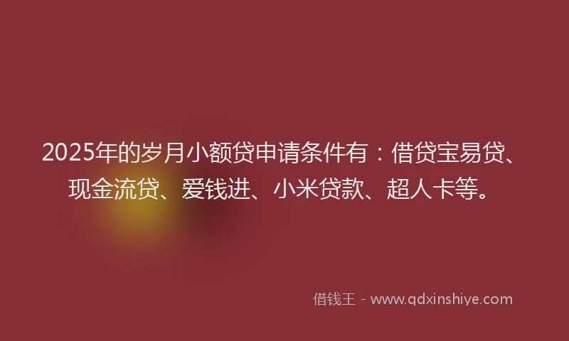 2025年的岁月小额贷申请条件有：借贷宝易贷、现金流贷、爱钱进、小米贷款、超人卡等。