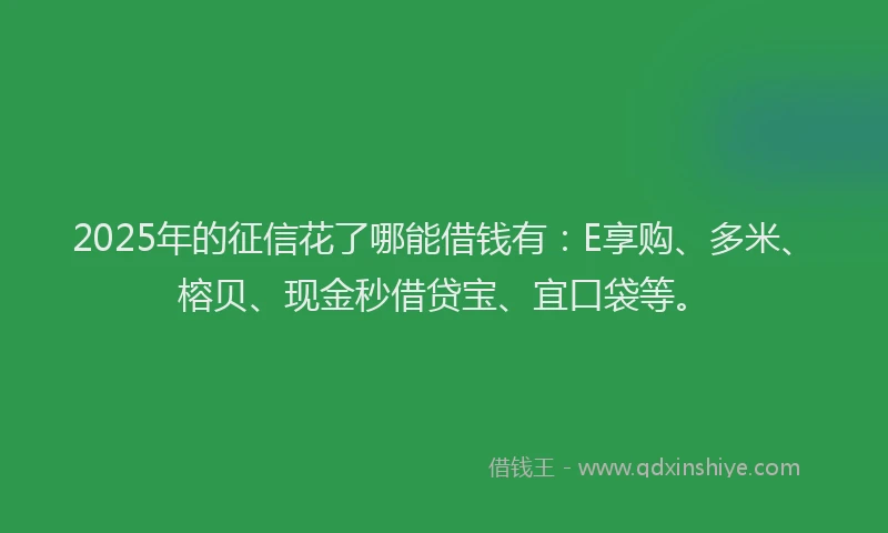 2025年的征信花了哪能借钱有：E享购、多米、榕贝、现金秒借贷宝、宜口袋等。