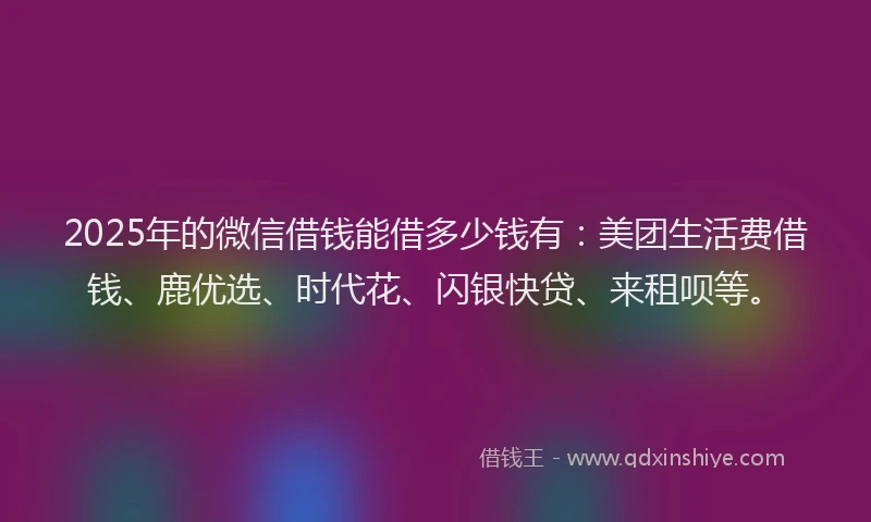 2025年的微信借钱能借多少钱有：美团生活费借钱、鹿优选、时代花、闪银快贷、来租呗等。