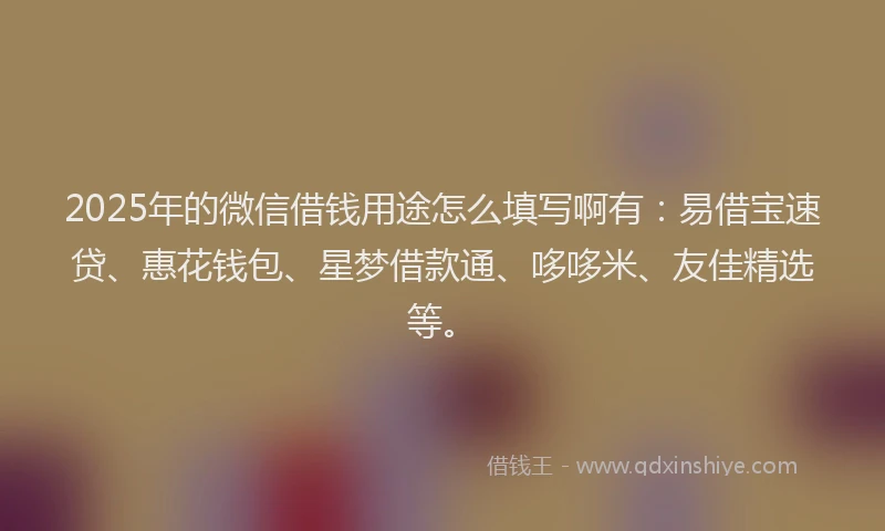 2025年的微信借钱用途怎么填写啊有：易借宝速贷、惠花钱包、星梦借款通、哆哆米、友佳精选等。