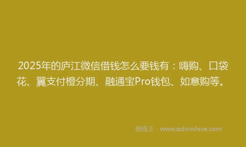 2025年的庐江微信借钱怎么要钱有：嗨购、口袋花、翼支付橙分期、融通宝Pro钱包、如意购等。
