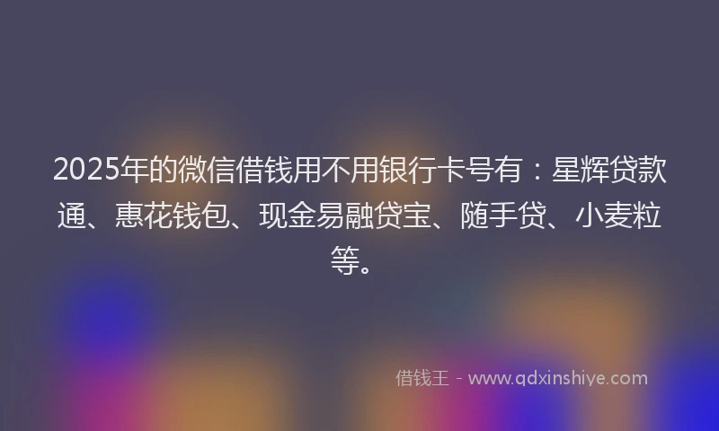 2025年的微信借钱用不用银行卡号有:星辉贷款通、惠花钱包、现金易融贷宝、随手贷、小麦粒等。