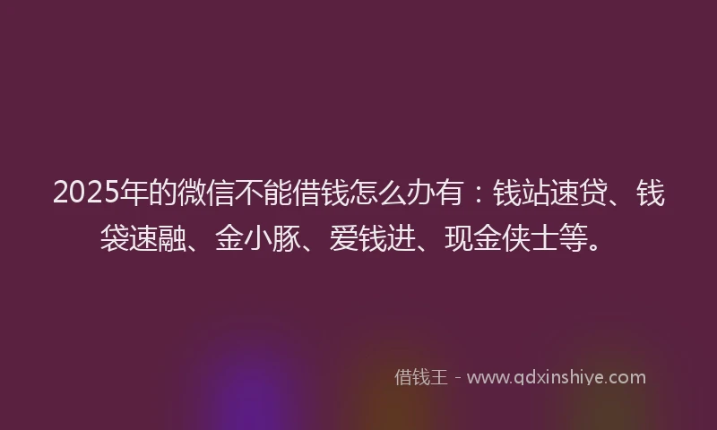 2025年的微信不能借钱怎么办有：钱站速贷、钱袋速融、金小豚、爱钱进、现金侠士等。