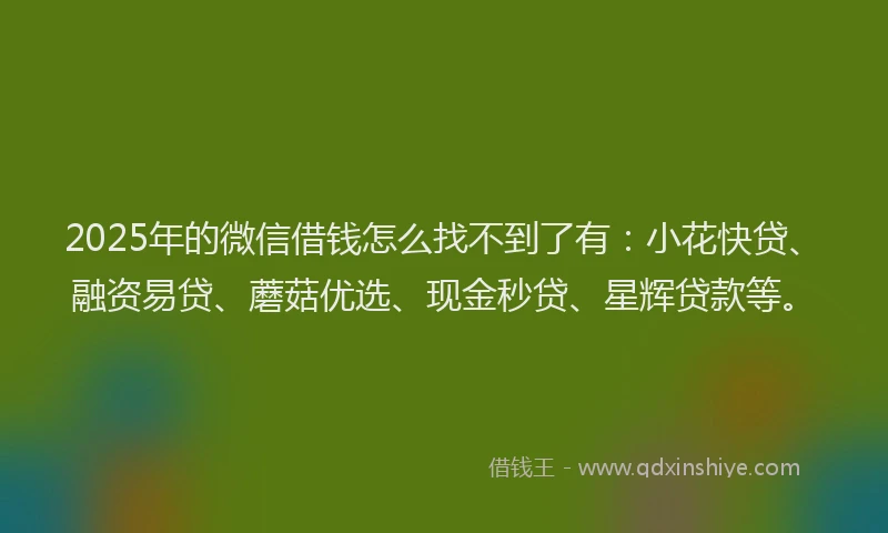 2025年的微信借钱怎么找不到了有：小花快贷、融资易贷、蘑菇优选、现金秒贷、星辉贷款等。