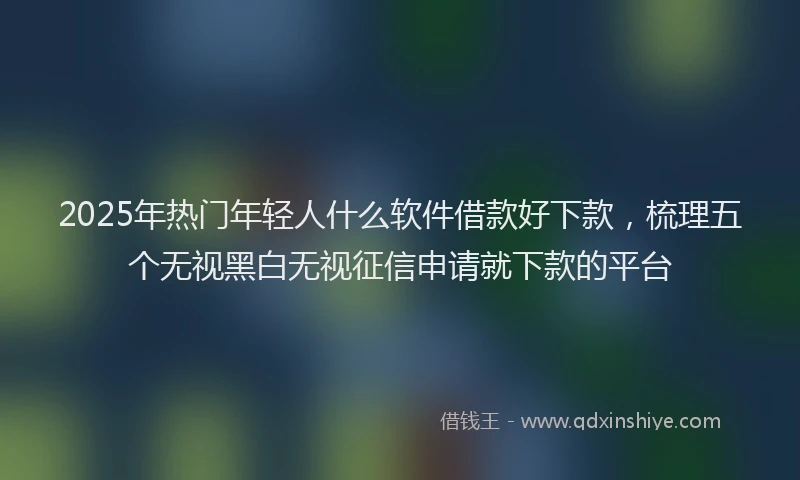 2025年热门年轻人什么软件借款好下款,梳理五个无视黑白无视征信申请就下款的平台