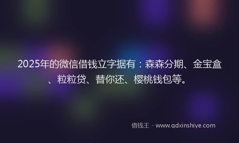 2025年的微信借钱立字据有：森森分期、金宝盒、粒粒贷、替你还、樱桃钱包等。