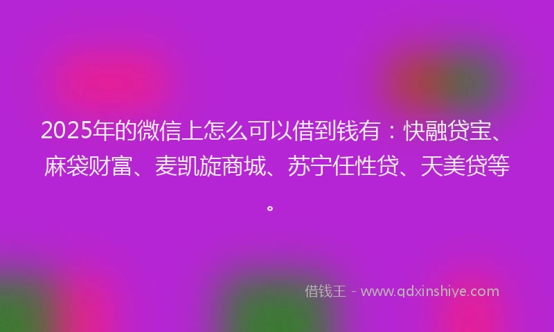 2025年的微信上怎么可以借到钱有：快融贷宝、麻袋财富、麦凯旋商城、苏宁任性贷、天美贷等。