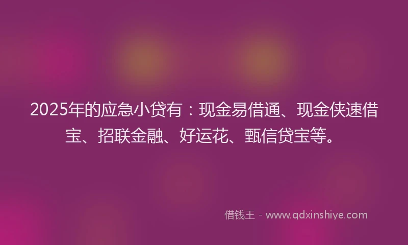 2025年的应急小贷有：现金易借通、现金侠速借宝、招联金融、好运花、甄信贷宝等。