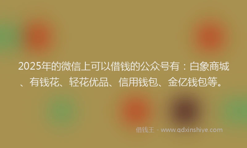 2025年的微信上可以借钱的公众号有：白象商城、有钱花、轻花优品、信用钱包、金亿钱包等。