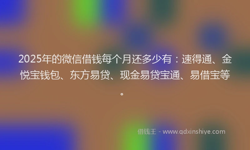 2025年的微信借钱每个月还多少有：速得通、金悦宝钱包、东方易贷、现金易贷宝通、易借宝等。