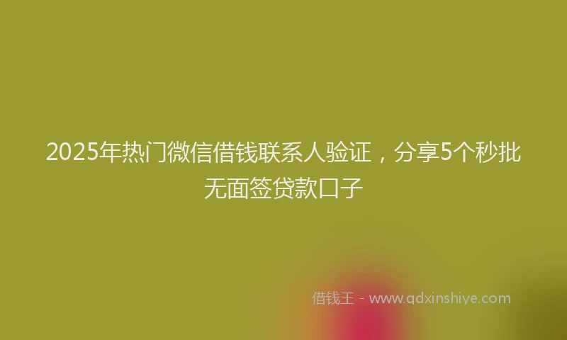 2025年热门微信借钱联系人验证，分享5个秒批无面签贷款口子