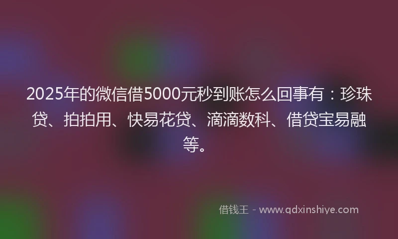 2025年的微信借5000元秒到账怎么回事有:珍珠贷、拍拍用、快易花贷、滴滴数科、借贷宝易融等。