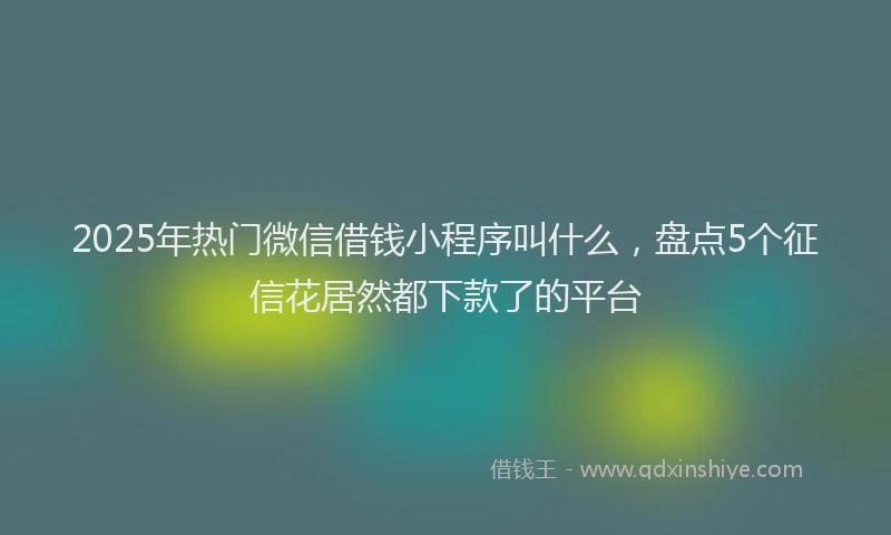 2025年热门微信借钱小程序叫什么，盘点5个征信花居然都下款了的平台