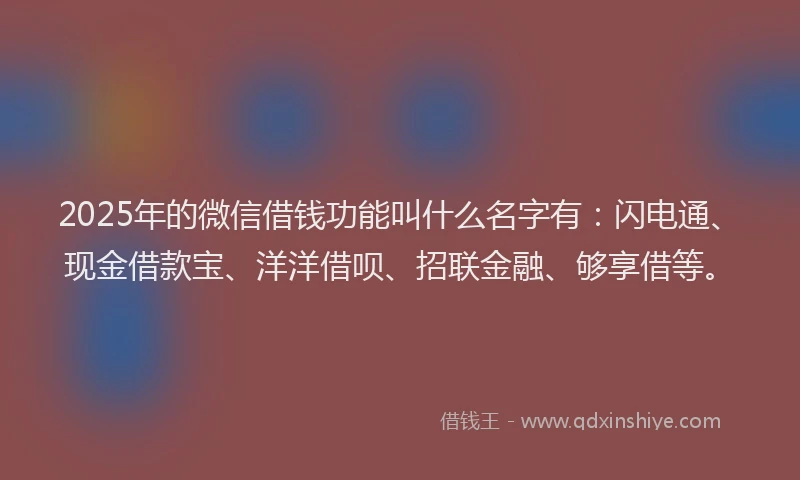 2025年的微信借钱功能叫什么名字有：闪电通、现金借款宝、洋洋借呗、招联金融、够享借等。