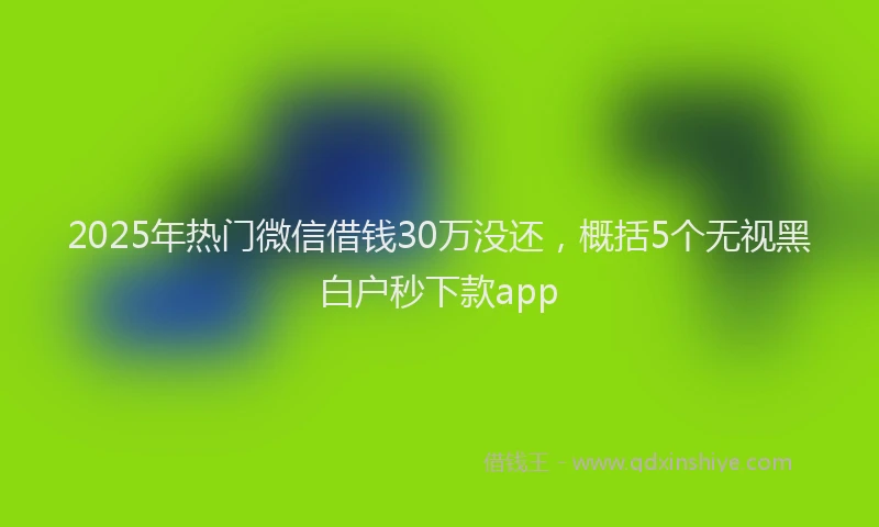 2025年热门微信借钱30万没还，概括5个无视黑白户秒下款app