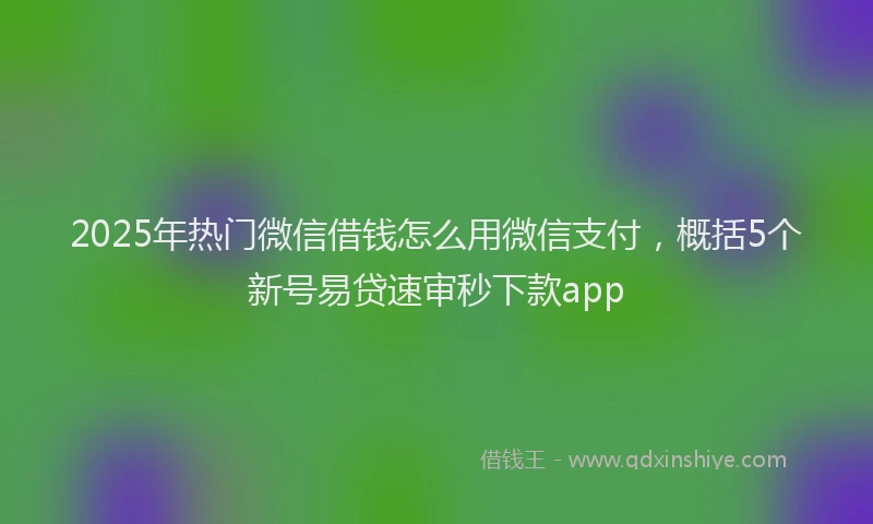 2025年热门微信借钱怎么用微信支付，概括5个新号易贷速审秒下款app