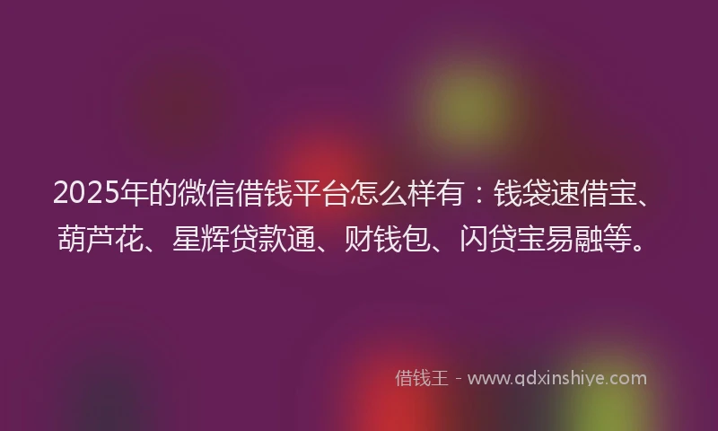 2025年的微信借钱平台怎么样有：钱袋速借宝、葫芦花、星辉贷款通、财钱包、闪贷宝易融等。