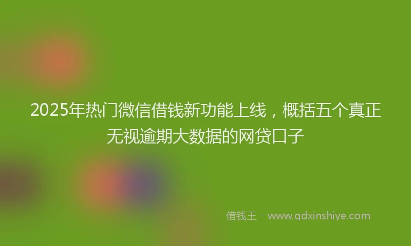 2025年热门微信借钱新功能上线，概括五个真正无视逾期大数据的网贷口子