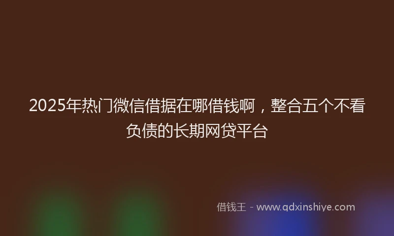 2025年热门微信借据在哪借钱啊，整合五个不看负债的长期网贷平台
