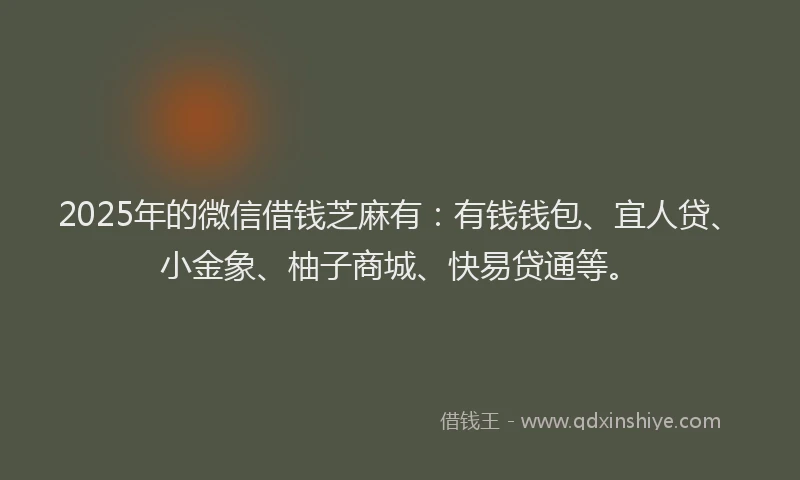 2025年的微信借钱芝麻有：有钱钱包、宜人贷、小金象、柚子商城、快易贷通等。