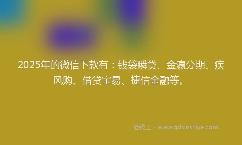 2025年的微信下款有：钱袋瞬贷、金瀛分期、疾风购、借贷宝易、捷信金融等。