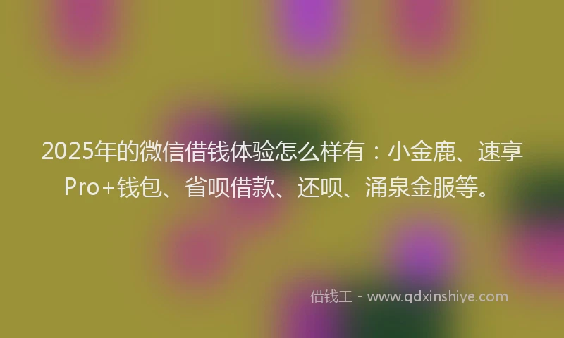 2025年的微信借钱体验怎么样有:小金鹿、速享Pro+钱包、省呗借款、还呗、涌泉金服等。