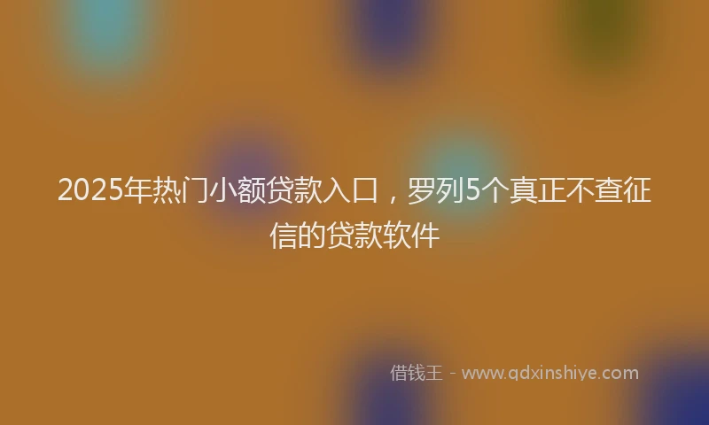2025年热门小额贷款入口，罗列5个真正不查征信的贷款软件